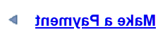 Make a Payment Link Screenshot